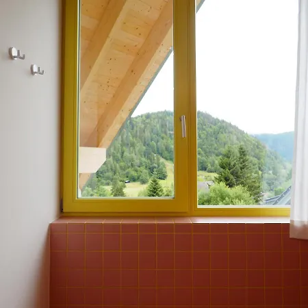 Bleibe Menzenschwand Holiday home St. Blasien